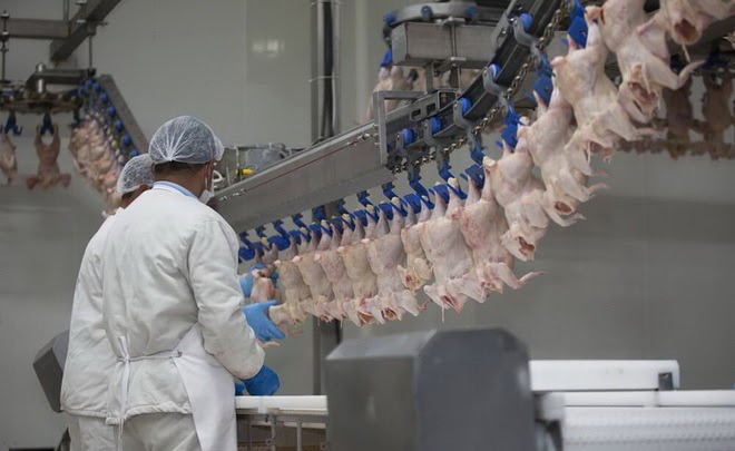 Thumbnail Pembinaan dan Sertifikasi Hazard Analysis Critical Control Point/HACCP (Food Hygiene) by BNSP