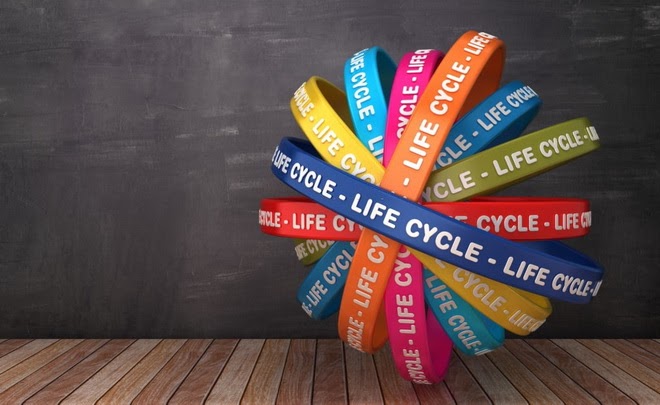 Thumbnail Online Training – Sertifikasi Kompetensi Pengambilan Data Penilaian Daur Hidup LCA (Blended by BNSP)