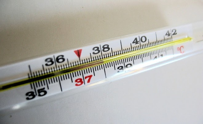 Thumbnail Online Training – Sertifikasi Kompetensi Teknisi Kalibrasi Suhu Blended by BNSP