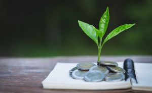 Thumbnail Online Training – Green Financing